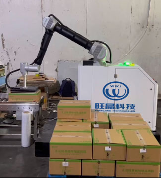 Equipment Performance and Selection of Cooperative Stacking Robot