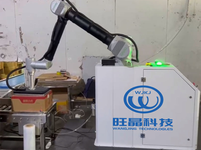 What are the differences between AI and palletizing robot and handling robot